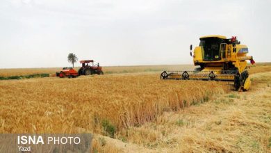 جذب تسهیلات توسعه مکانیزاسیون کشاورزی تنها ۴ درصد است / مکانیزاسیون کشاورزی , تسهیلات کشاورزی , وزارت جهاد کشاورزی , جذب تسهیلات , کشاورزی