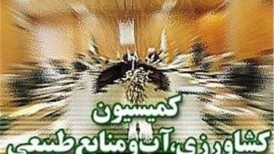 پیشنهاد مجلس درباره سوخت کشاورزان/ بازگشته سهمیه به روال سابق / اخبار سیاسی روز , اخبار مجلس