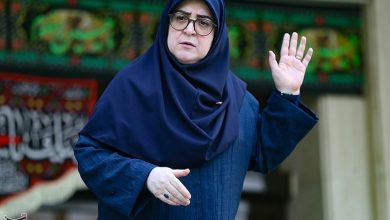 ببینید| سخنگوی دولت وارد بوشهر شد / اخبار سیاسی روز , اخبار دولت