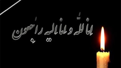 مادر شهیدان احمد و محمود داروغه در کاشان به فرزندان شهیدش پیوست / اخبار کاشان - اخبار استانها