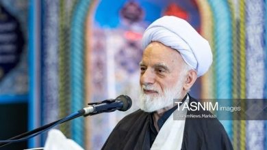 حماسه اربعین قله تدین و مدرسه تربیت معنوی و بصیرت دینی است / اخبار مرکزی - اخبار استانها