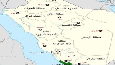 شنیده شدن صدای انفجارهایی در عربستان؛ فرودگاه ابها هدف قرار گرفت