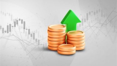 جذب 2.7 میلیون یورو سرمایهگذاری خارجی در یزد / اخبار یزد - اخبار استانها