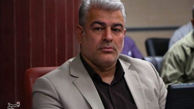 600 مگاوات نیروگاه خورشیدی استان کرمان تا پایان سال وارد مدار میشود / اخبار کرمان - اخبار استانها