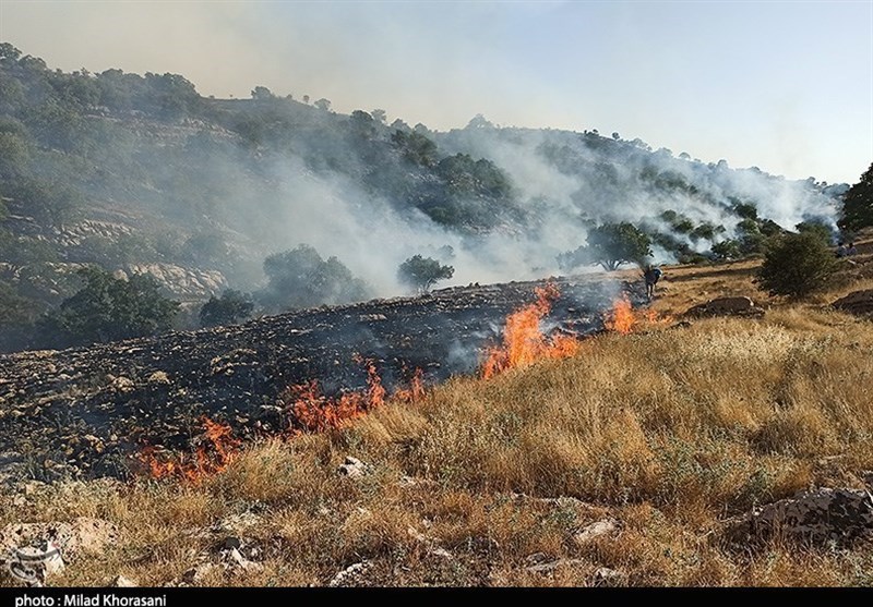 گرمای تابستان زنگ خطر آتشسوزی در مراتع شاهرود را به صدا درآورد / اخبار سمنان - اخبار استانها