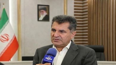 کاهش 1520 مگاواتی مصرف برق در فارس و بوشهر با «قرار 25» / اخبار فارس - اخبار استانها