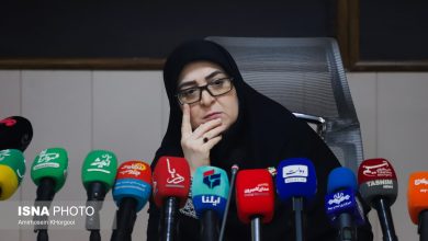 سخنگوی دولت: تصمیمگیری درباره سهمیه یا قیمت بنزین با شفافیت به مردم اعلام میشود / سخنگوی دولت , مدیریت مصرف سوخت , بنزین , سفرهای اربعین , شفافیت