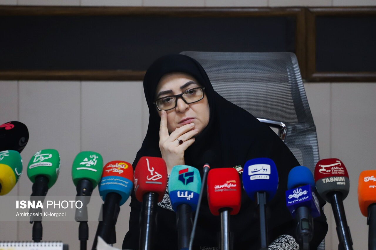 سخنگوی دولت: تصمیمگیری درباره سهمیه یا قیمت بنزین با شفافیت به مردم اعلام میشود / سخنگوی دولت , مدیریت مصرف سوخت , بنزین , سفرهای اربعین , شفافیت