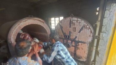 راز محموله یکتنی گوشت اسب در بیجار؛ زنگ خطر برای سلامت بازار مواد غذایی / اخبار کردستان - اخبار استانها