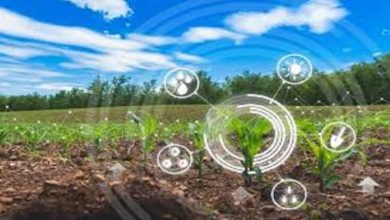 اجرای آزمایشی طرح انتقال فناوری در ۱۰ روستای کشور / انتقال فناوری , روستا , دانشگاهها , پارک علم و فناوری , نوآوری