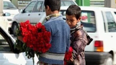 حمایت از 100 کودک کار در زنجان؛ مقابله با بازماندگی از تحصیل / اخبار زنجان - اخبار استانها