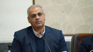 وزارت کار رویکرد حمایت از مشاغل خانگی را تغییر داد؛ تمرکز بر بازارسازی و فروش آنلاین / مشاغل خانگی , وزارت کار , هوش مصنوعی , تسهیلات , فروش آنلاین