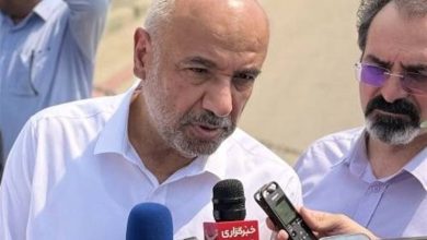 وزیر کار: مشکل پتروشیمی مهر و جم در عسلویه پایان یافت / اخبار بوشهر - اخبار استانها