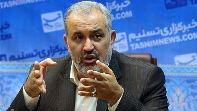 برق مناطق جنوبی کشور با مشارکت مردم پایدار شد / اخبار بوشهر - اخبار استانها