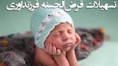 43 درصد متقاضیان تسهیلات فرزندآوری هنوز وام نگرفتهاند؛ گزارش دیوان محاسبات / اخبار سیاسی روز , اخبار دولت