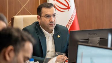 راهاندازی ۵۰ فروشگاه مجازی برای عرضه محصولات مهارتآموزان / مهارتآموزان , فروشگاه آنلاین , معاون وزیر , وزارت تعاون , کار و رفاه اجتماعی