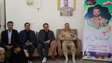 ساماندهی 350 کیلومتر فیبر نوری هوایی و بازسازی مراکز آسیبدیده در اولویت است / اخبار ایلام - اخبار استانها