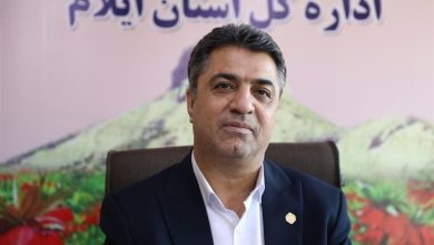 اختصاص 854 میلیارد تومان برای اشتغال و حمایتهای اقتصادی در ایلام / اخبار ایلام - اخبار استانها