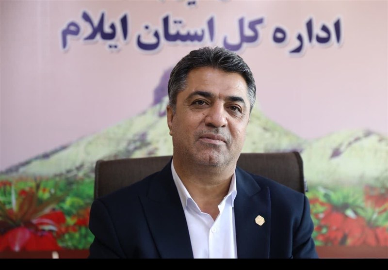 اختصاص 854 میلیارد تومان برای اشتغال و حمایتهای اقتصادی در ایلام / اخبار ایلام - اخبار استانها