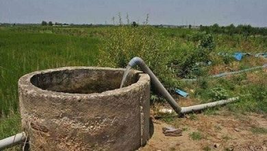 تعرفه برق چاههای کشاورزی ۴۱۲ برابر شد؛ نگرانی از کاهش ۳۰ درصدی تولید محصولات / تعرفه برق , چاه کشاورزی , تولید محصولات کشاورزی , قطعی برق , اتاق اصناف کشاورزی