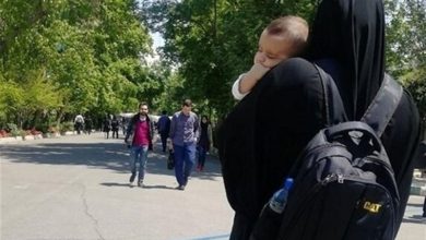 تمدید مهلت پژوهش برای مادران پژوهشگر به ازای تولد فرزند / اخبار سیاسی روز , اخبار حوزه علمیه و دانشگاه