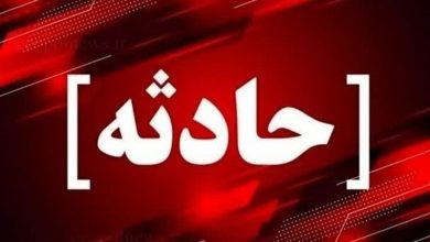 آتشسوزی در کارگاه جعبه و پالتسازی محمدشهر / اخبار البرز - اخبار استانها
