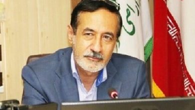 معاون وزیر جهاد کشاورزی: آب بزرگترین چالش کشور و استان کرمان است / چالش آب , کرمان , کشاورزی , آبیاری نوین , وزارت جهاد کشاورزی