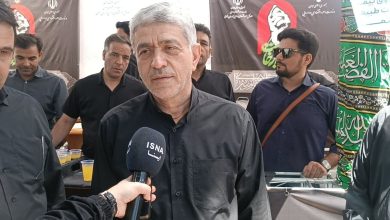 طیبنیا: انقلاب اقتصادی مورد نظر رهبر انقلاب از طریق اصل ۴۴ و اقتصاد مقاومتی به درستی اجرا نشد / طیبنیا , اقتصاد مقاومتی , اصل ۴۴ , رهبر انقلاب , اقتصاد ایران