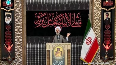 اربعین پیام کرامت، مقاومت و پیروزی حق را به جهان رساند / اخبار فارس - اخبار استانها