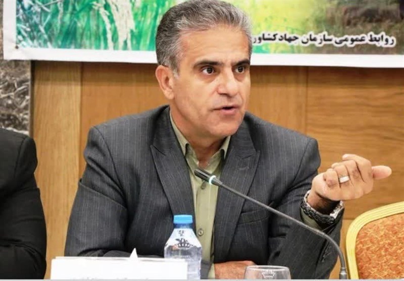 هدررفت میلیونی غلات زیر چرخهای فرسوده/ضرورت نوسازی ناوگان کشاورزی / اخبار مرکزی - اخبار استانها