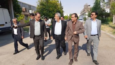 همافزایی دولت و بخش خصوصی/ کلید شکوفایی صنایع مادر و دانشبنیان فارس / اخبار فارس - اخبار استانها