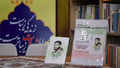 تولید 30 عنوان کتاب از شهدای شهرستان ری تا پیش از کنگره ملی 3000 شهید / اخبار استان تهران - اخبار استانها