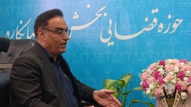 حدنگاری 28 هزار هکتار از اراضی کشاورزی دشتستان / اخبار بوشهر - اخبار استانها