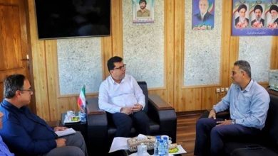 گسترش پوشش بیمه روستایی با مشارکت دهیاریهای استان بوشهر / اخبار بوشهر - اخبار استانها