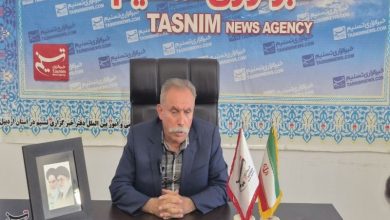باشگاههای کشتی در سامانه جامع فدراسیون ثبت میشوند / اخبار اردبیل - اخبار استانها
