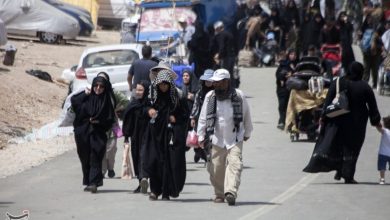 زائران تهران، قم و اصفهان با اتوبوس یکسره از خسروی تا نجف میروند / اخبار کرمانشاه - اخبار استانها