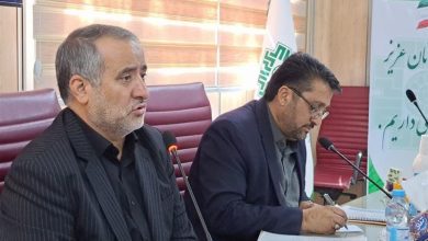مالیات پشتوانه توسعه و پروژههای عمرانی است / اخبار خراسان جنوبی - اخبار استانها