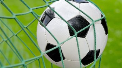چادرملو با حفظ ستارههای خارجی، آماده فصل جدید لیگ برتر شد / اخبار یزد - اخبار استانها