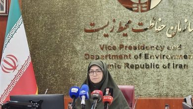 انصاری: حقآبه تالاب هامون را با دیپلماسی پیگیریم / اخبار سیستان و بلوچستان - اخبار استانها