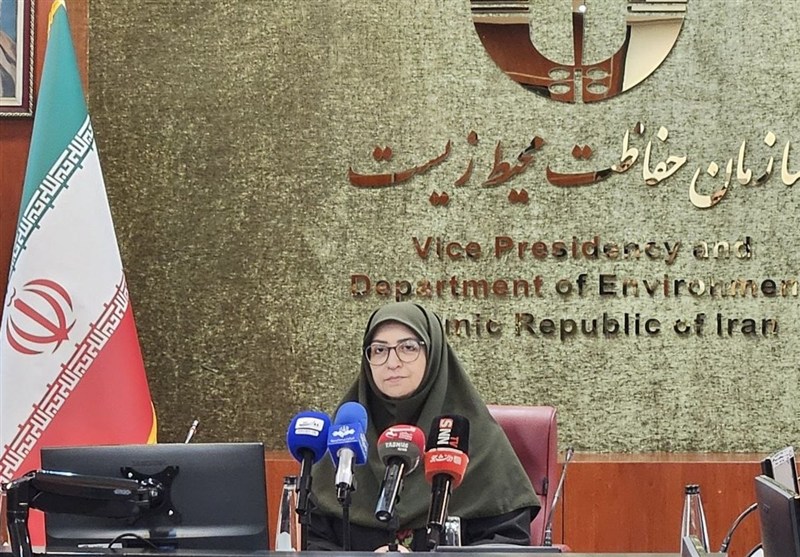انصاری: حقآبه تالاب هامون را با دیپلماسی پیگیریم / اخبار سیستان و بلوچستان - اخبار استانها