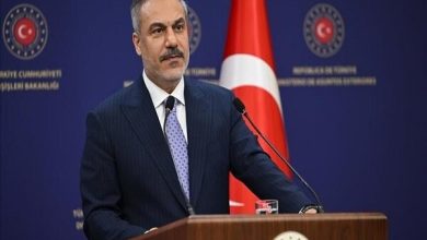 گفتگوی فیدان با همتایان مصری و سعودی خود درباره وضعیت تنگه هرمز