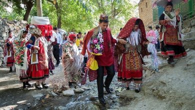 عروسی کرمانجها؛ شکوهی ماندگار در دامنههای هزارمسجد / اخبار خراسان رضوی - اخبار استانها