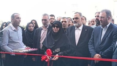 ظرفیت خورشیدی تهران 15 برابر شد؛ بزرگترین نیروگاه سقفی کشور در پاکدشت / اخبار استان تهران - اخبار استانها