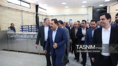 افتتاح شهرک صنعتی ایثار نصر کرمان؛ وزیر صمت: کرمان در مسیر تحول صنعتی / اخبار کرمان - اخبار استانها