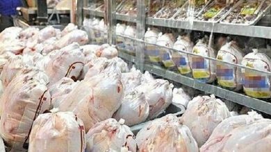2 واحد عرضه مرغ و ماهی متخلف در فردیس شناسایی شدند / اخبار البرز - اخبار استانها