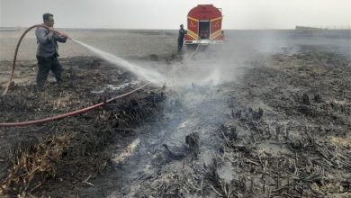 116 هکتار از عرصههای ملی استان قزوین در آتش سوخت / اخبار قزوین - اخبار استانها