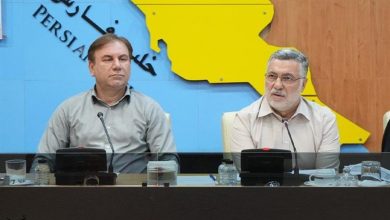 توسعه زیرساختهای سلامت نیازمند مدیریت علمی و مشارکت صنایع بزرگ است / اخبار بوشهر - اخبار استانها