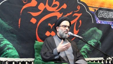 اربعین نمایش بلوغ و آگاهی امت حسینی است / اخبار گلستان - اخبار استانها
