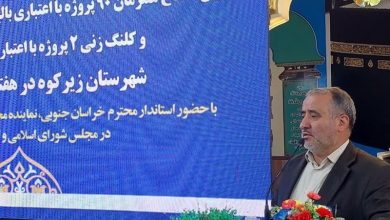 خراسان جنوبی الگوی وحدت و همدلی مذاهب اسلامی است / اخبار خراسان جنوبی - اخبار استانها