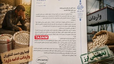 بحران لوبیا در سراب؛ کشاورز انباردار شد، واردکننده ارز گرفت! / اخبار آذربایجان شرقی - اخبار استانها